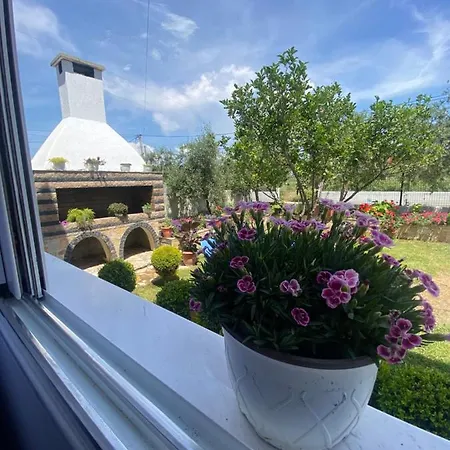 Guest house Maison Vlore